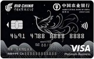 农业银行凤凰知音联名信用卡(VISA-白金卡)