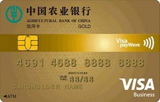 农业银行全球支付芯片卡(VISA-金卡)