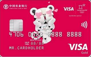 农业银行Visa2018冬奥会主题信用卡(金卡-红)