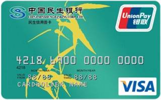 民生银行标准信用卡(银联+VISA,普卡)