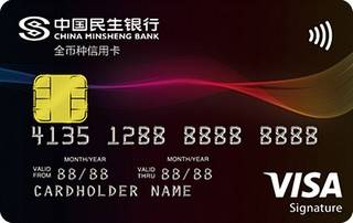 民生银行全币种信用卡(VISA)